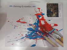 Load image into Gallery viewer, Նկարչական հավաքածու՝ կտավ թվերով