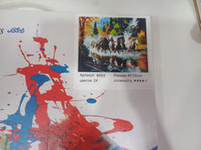 Load image into Gallery viewer, Նկարչական հավաքածու՝ կտավ թվերով