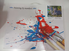 Load image into Gallery viewer, Նկարչական հավաքածու՝ կտավ թվերով