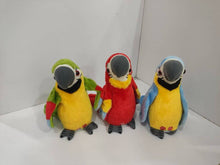 Load image into Gallery viewer, Ուրախ, կրկնող թութակներ